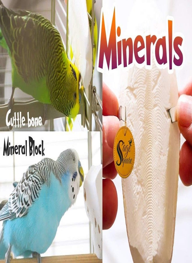 Sage Square Natural Calcium Source Cuttlebone Fish, Natural Mineral Block, Calcium, for Birds, Parrot (300grm & Holder) - Image 4
